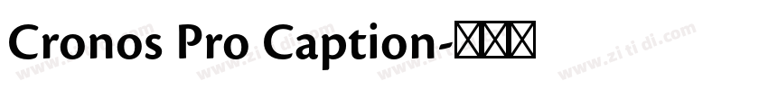 Cronos Pro Caption字体转换